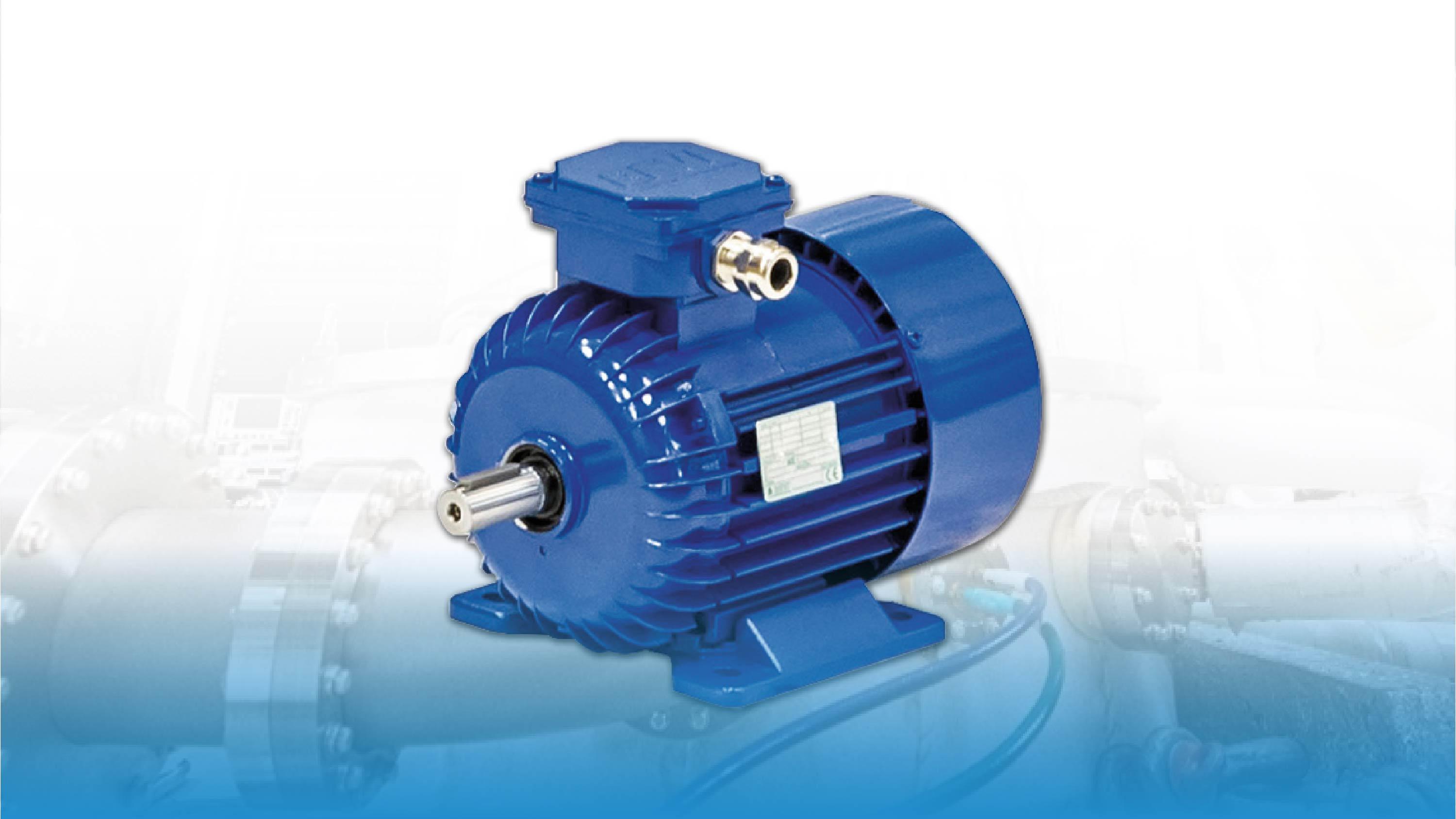 Distributor Electric Motor di Indonesia