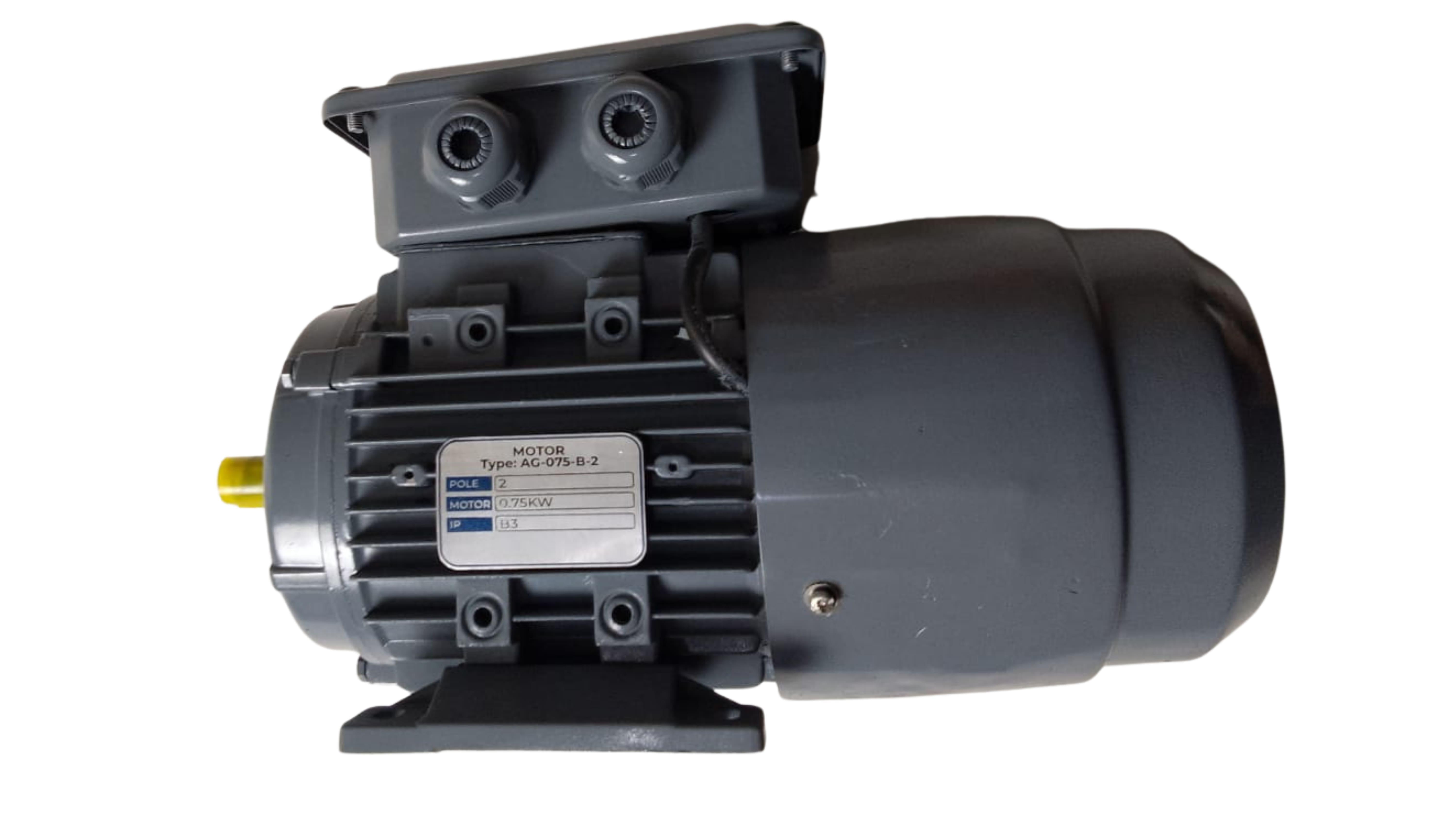 AGAF GLOBAL: Distributor Induction Motor